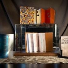 Maternal Mitochondria Presents LENDING LIBRARY OF THE INVISIBLE