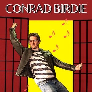 Review: BYE BYE BIRDIE at the Haines City Theatre