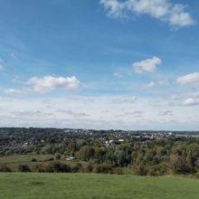 Student Blog: The Will of Integrity