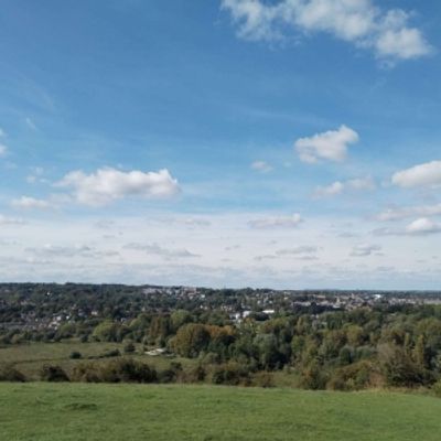Student Blog: The Will of Integrity