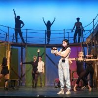 Student Blog: Northwestern's Dolphin Show Still Has Magic to Do
