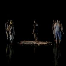 University of Florida Hosts Virtual SWAMP DANCE FEST! on Zoom