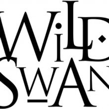Wild Swan Theater Receives MCACA Grant