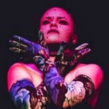 BST Returns To Live Performance With The Bridge Street Belly Dance Project