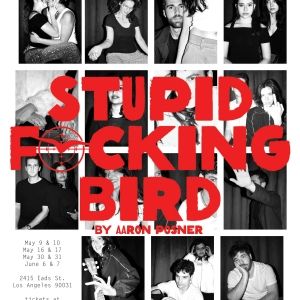 Blue Pen Theatre Debuts With Chekhov Remix STUPID F*CKING BIRD