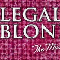 LEGALLY BLONDE: THE MUSICAL Opens Valentine's Day at the Wirtz Center