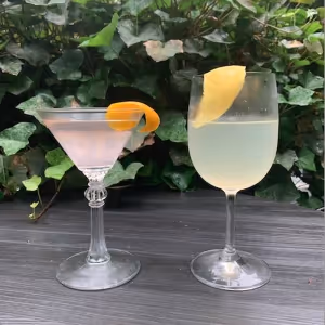ENTERTAIN and DINE-New Jersey Style