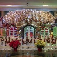 DISNEYLAND, WALT DISNEY WORLD, AULANA and DISNEY CRUISE LINE have Dazzling…