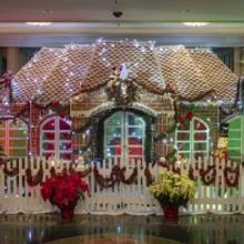 DISNEYLAND, WALT DISNEY WORLD, AULANA and DISNEY CRUISE LINE have Dazzling Gingerbrea