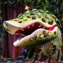 BWW Review: LITTLE SHOP OF HORRORS at Pittsburgh Public Theatre Doesn't Reinvent, But