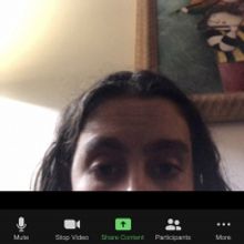 BWW Blog: Zooming Through Summer - What I Learned