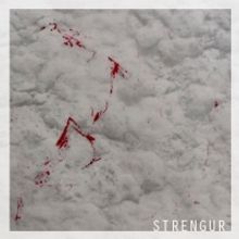 Violinist and Composer Halla Steinunn Stefánsdóttir Releases New Album STRENGUR