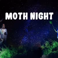 Celebrate National Moth Week With the Staten Island Museum