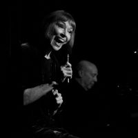 10 Videos That Get Us Thrilled About KAREN AKERS: AMONG MY SOUVENIRS at Birdland on April 25th