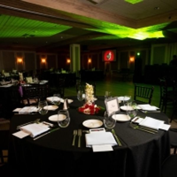 Silver Palm Award Honorees Announced Photo