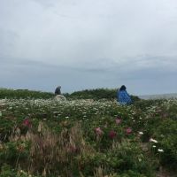 Kaatsbaan Cultural Park 2023 Spring Festival to Present A Guided Tour With Wild…