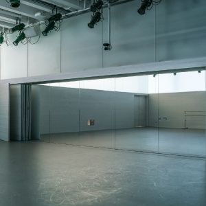 Student Blog: Dance Days of Summer