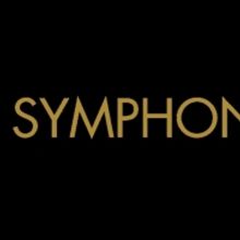 South Florida Symphony Orchestra Named Partner In The Arts For The Parker