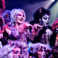 Review: CATS at Susquehanna Stage