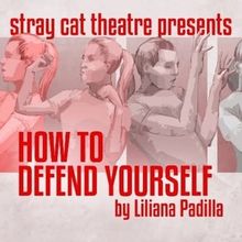 Review: HOW TO DEFEND YOURSELF at Stray Cat Theatre