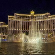 The Neon Museum Presents DUCK DUCK SHED Next Week