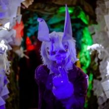 TheaterWorks' Concludes Run Of CURIOUSER & CURIOUSER TOO