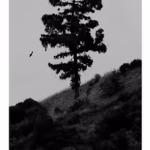 TCG Books Publishes EVENING PLAYS By Richard Maxwell