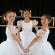 North Shore Civic Ballet Opens Spring Online Auction Photo
