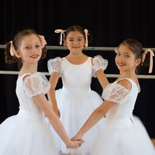 North Shore Civic Ballet Opens Spring Online Auction