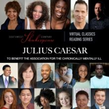Trezana Beverley Stars in and Directs Virtual JULIUS CAESAR