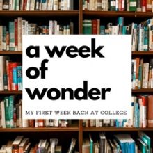 Student Blog: A Week of Wonder