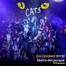 HIGHLIGHTS 2019 Q4: Natalia Sosa concluye su participación en CATS.