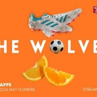Temple Theaters Digital Season Presents THE WOLVES
