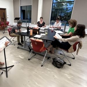 Reading Of Joz Vammer's PURSUED to be Presented at Connecticut Theatre Exchange