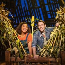Review: SHUCKED at ASU Gammage