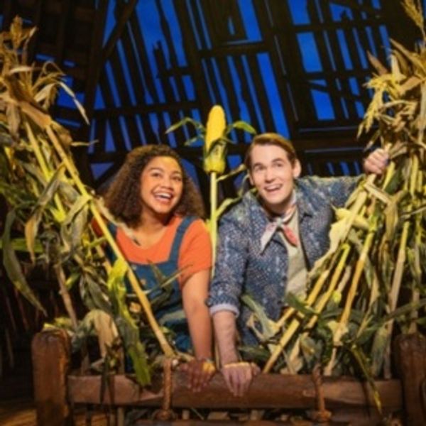Review: SHUCKED at ASU Gammage Photo