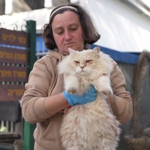 The Guardian Angel of the Cats Who Lost Everything on October 7
