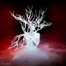 MAN WOMAN Butoh Fairy Tale by Vangeline to Play Schwarzman Centre