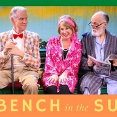 BWW Review: Don Bluth Front Row Theatre Presents
A BENCH IN THE SUN
