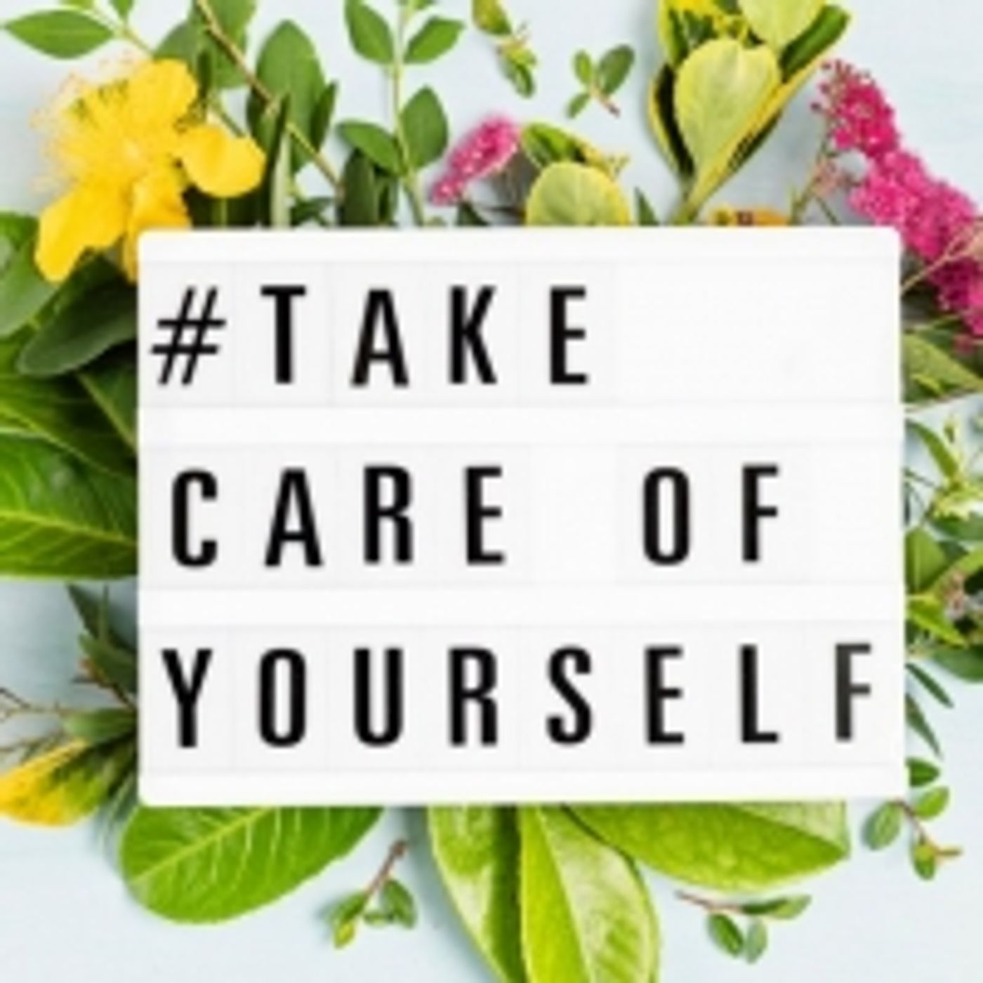 Student Blog: Breaking Through The Pandemic Wall