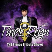 Seven Blasts From the Pop Music Past to Play Aurora's Paramount Theatre This August