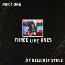Delicate Steve Announces 'Delicate Steve's Tiny Arena Tour' + Releases New EP