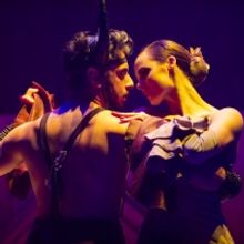 BWW Review: MATADOR at Her Majesty's Theatre