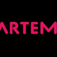 Artemisia Fall Fest Postponed Chicago