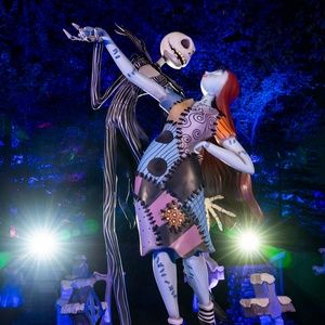 Video/Photos: THE NIGHTMARE BEFORE CHRISTMAS Light Trail Opens at the New York…