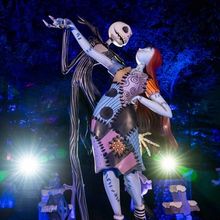 Video/Photos: THE NIGHTMARE BEFORE CHRISTMAS Light Trail Opens at the New York Botani