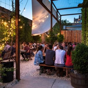 THREES BREWING Upcoming Summer Events