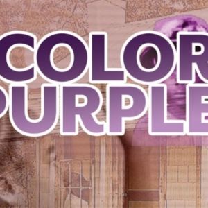 Black Theatre Troupe to Bring THE COLOR PURPLE To Tempe Center For The Arts