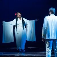 BWW Review: The Dallas Opera's MADAME BUTTERFLY Stirs Hearts and Minds at Winspear…