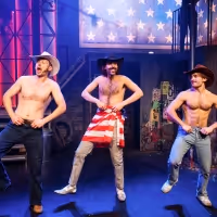 BWW Review: POLICE COPS THE MUSICAL, New Diorama Theatre